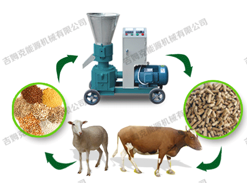 顆粒機(jī)、動物、顆粒